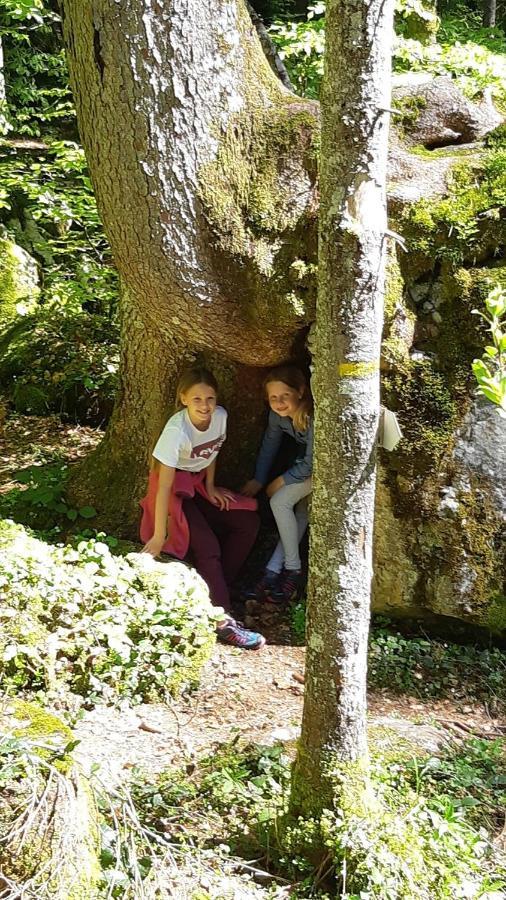 Apartment Nest Sibratsgfäll エクステリア 写真