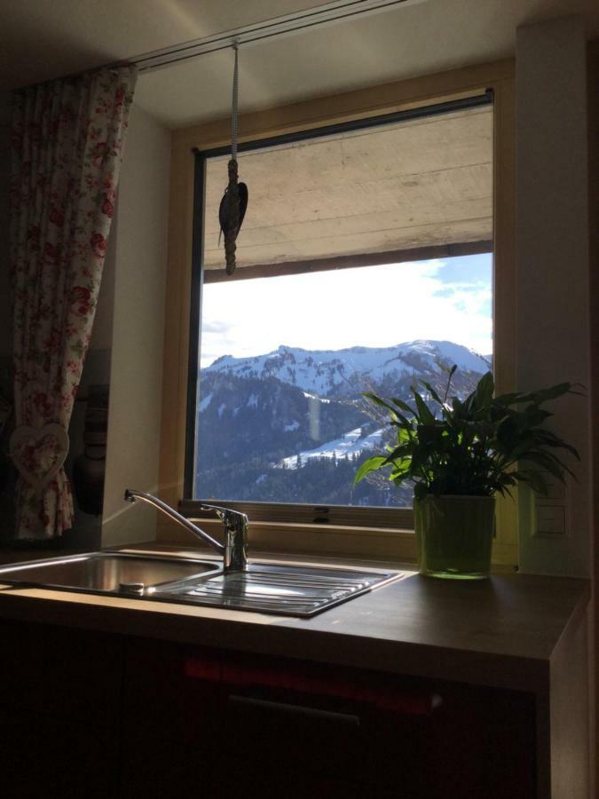 Apartment Nest Sibratsgfäll エクステリア 写真
