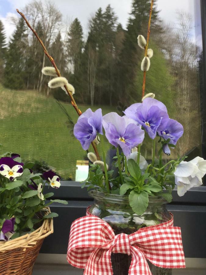 Apartment Nest Sibratsgfäll エクステリア 写真